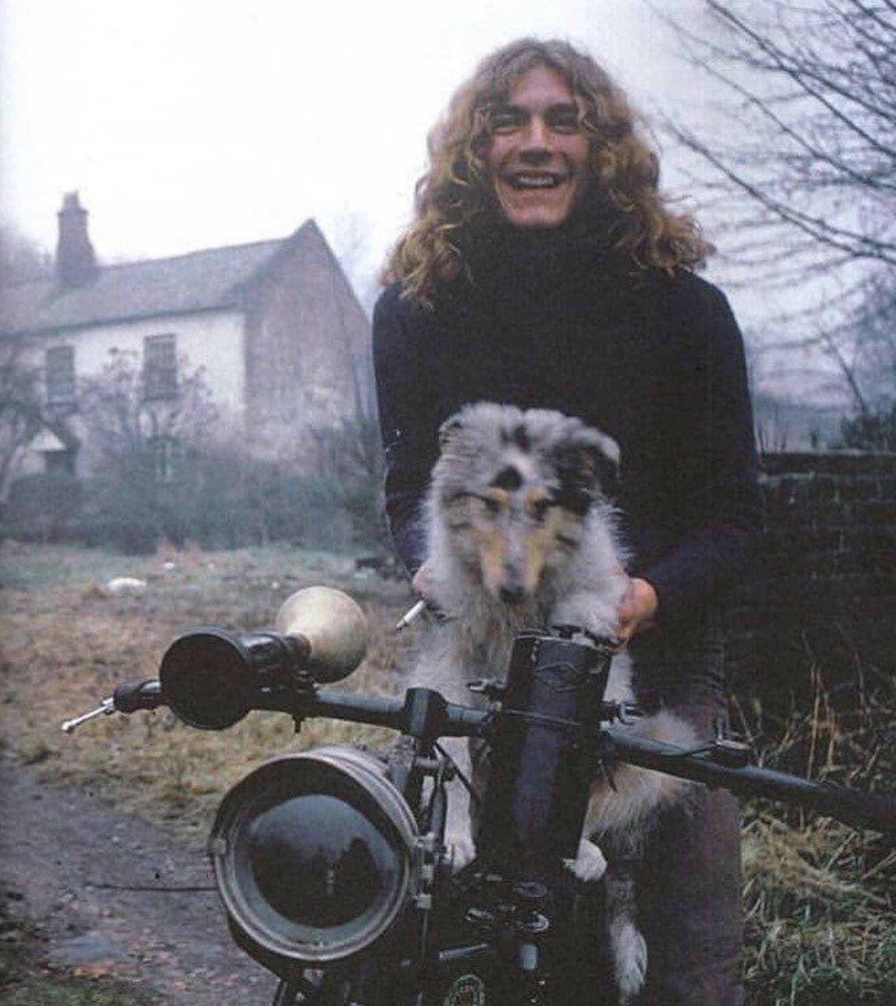 robert plant dog name